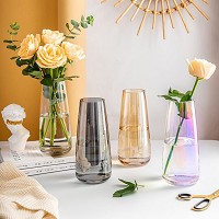 clear glass hydroponic vase 